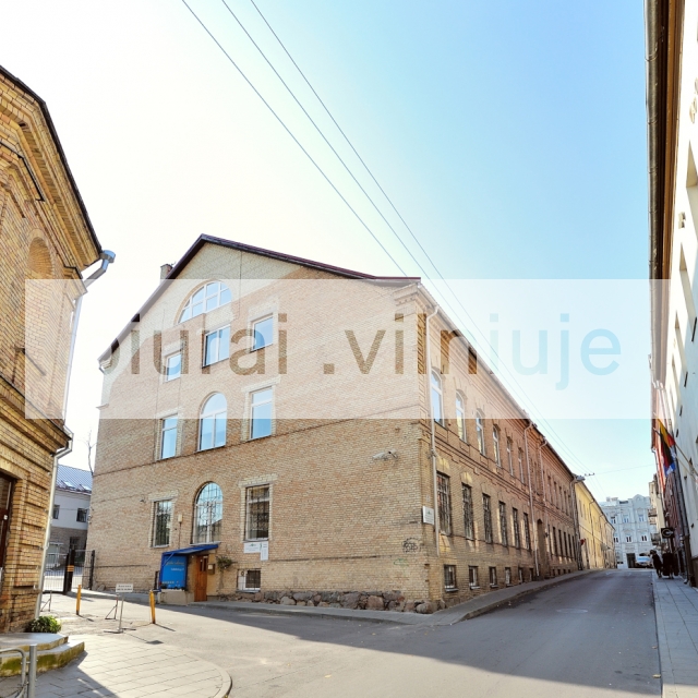 labdariu-g-5-1_1479200540-ec3cf0dc5b11f275f287833ab666ce39.JPG